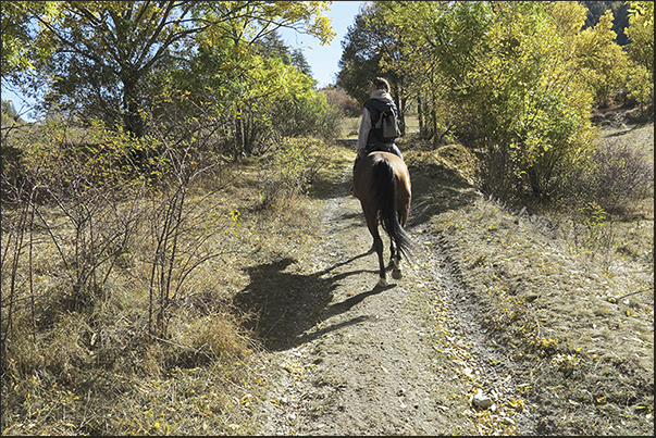 Beginning of the uphill towards Chateau Beaulard