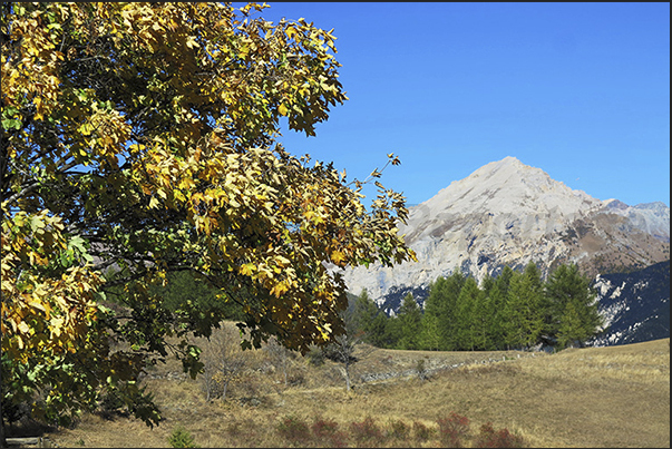 The panorama of Mount Seguret (2926 m)