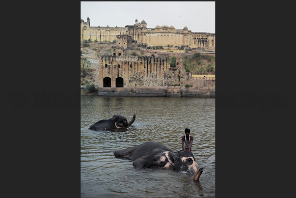 The ancient city of Agra on the banks of the Yamuna river.