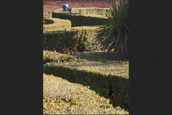 Someone tries to reach the castle through the garden maze