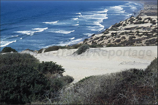 Dunes of San Quintin desert. Pacific Coast