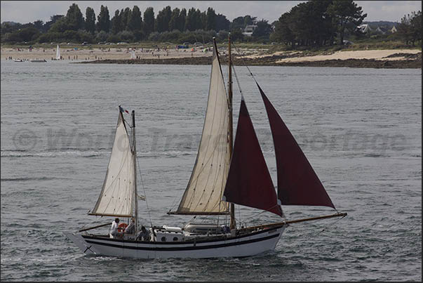Typical Breton sailing boat with wooden hull at the entrance of the gulf in front of Port Navalo