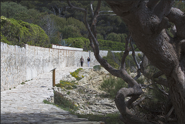 Coastal path that from the village of Saint Jean runs along the Cap Ferrat peninsula