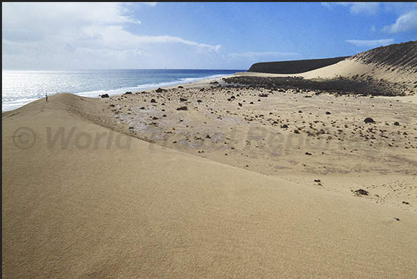 The high sand dunes that characterize the south east coast