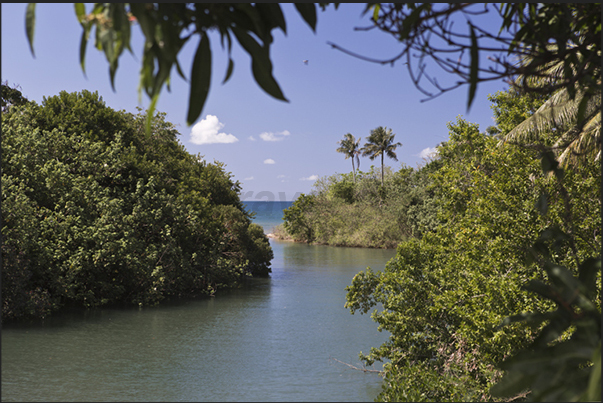 River on the east coast