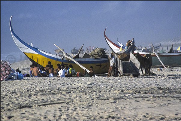 The fishermen and their families begin to prepare the boats and going out to sea
