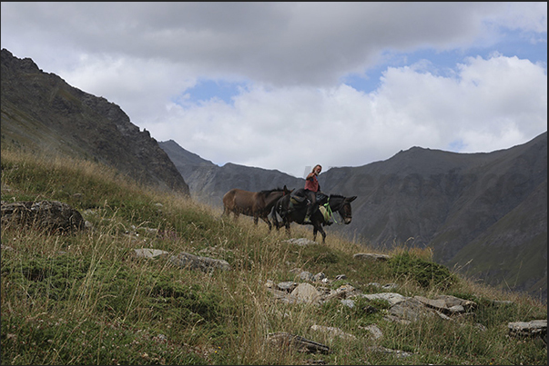 From the Sommeiller (3,009 m) hikers, not only on foot or by bicycle, return to the Scarfiotti refuge (2,165 m)