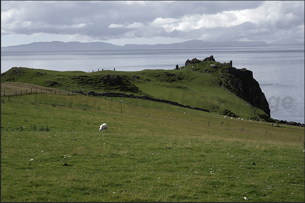 Pastures and farms along the northwest coast