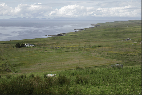 Pastures on the north-eastern coast of the island