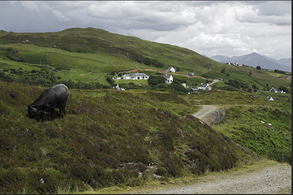 Pastures and farms along the coast of the southern peninsula