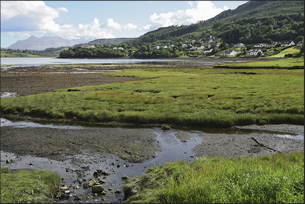 Low tide along the north-east coast