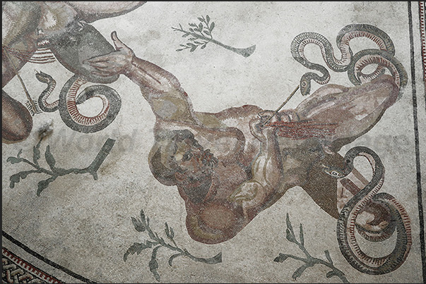 The triclinium room where dinners with dances and music were organized. The mosaics represent Hercules and some Gods
