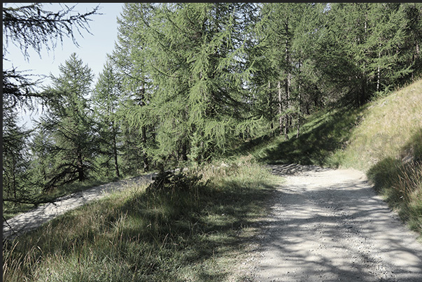 Dirt road from the Vazon hamlet at an altitude of 1,650 m towards the Cotolivier church