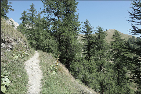 At the end of the dirt road begins the path that leads to the Desertes pass