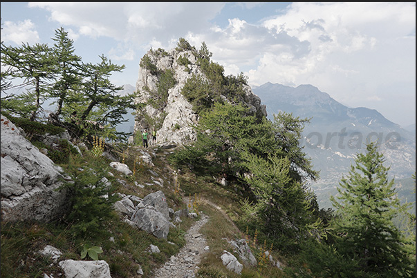 The trail enters the woods above Chateau-Beaulard