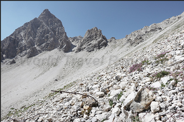 Climbing towards the Desertes Pass. Remains of barbed wire and defenses used in the last war