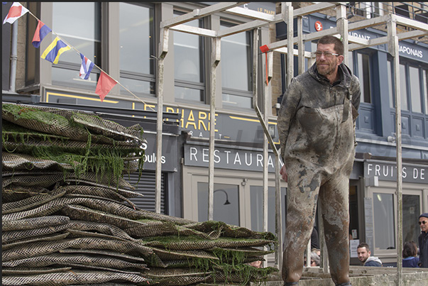 Cancale Bay. When the tide rises, the oyster farmers return to land, bringing their boats loaded with equipment and oysters
