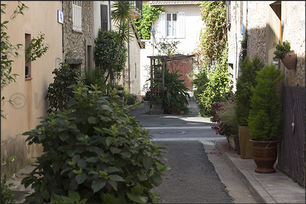 The peculiarity of the town is that every corner and alley is occupied by plants of various kinds
