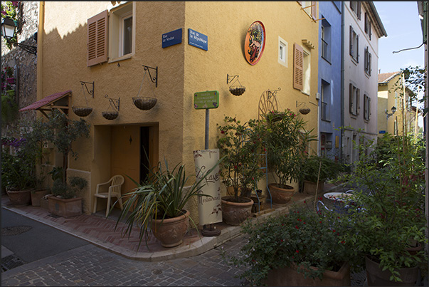 All the streets in the old town are decorated with plants and flowers along the street and on the walls of the houses