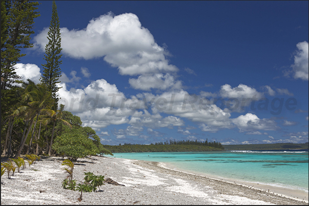 The Great Beach of Wabao Bay (south coast of the island) where tourists arrive with cruise ships