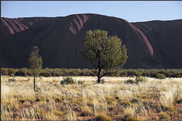 Uluru - Kata Tjuta National Park. Uluru, the sacred mountain for Aboriginal people