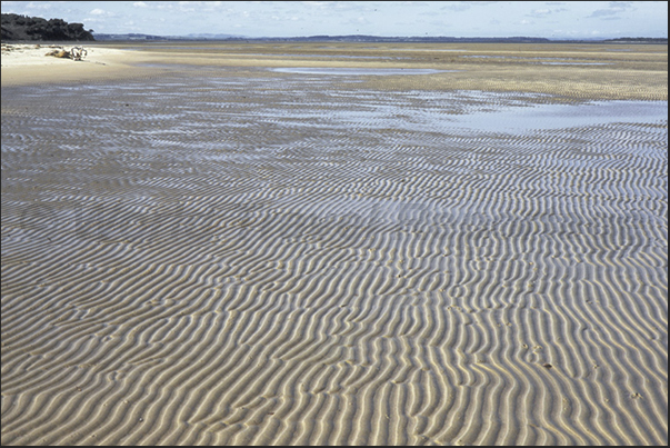 Low tide discovers the sandy bottom of the Inverlock Bay near Melbourne