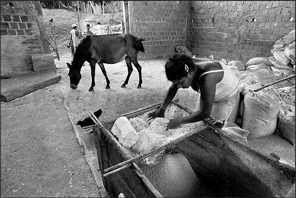 A woman grinds the cassava, a tuber used to produce a flour food